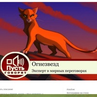 Галерея коты воители приколы картинки коты воители приколы картинки