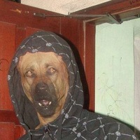 Илья Полищук | 