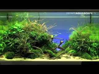 Aquascaping - The Art of the Planted Aquarium 2012, part 1
