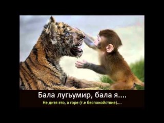 Лезгинские поговорки и пословицы. Часть 2