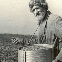 Крепостной Сеятель