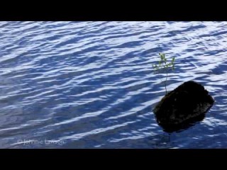 Meditation Music RELAX 3-meditación con música-música de meditação-meditazione musicale