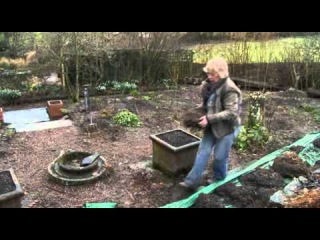 Life in a Cottage Garden with Carol Klein - 4 of 6
