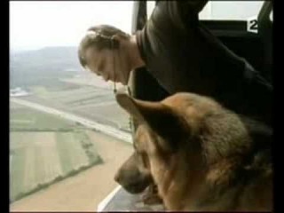Kommissar Rex : Alex und Rex