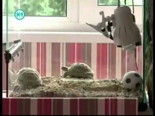 KET-U в программе