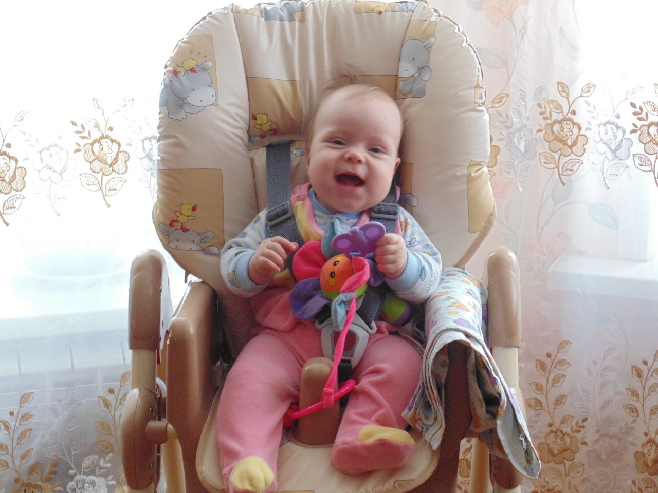 Анна Истомина