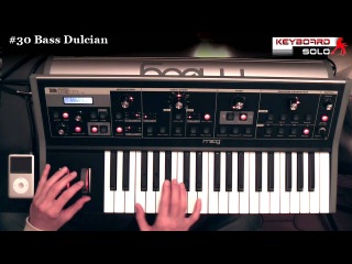S4K Moog Little Phatty MONSTER PACK v2
