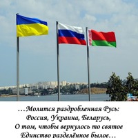 Алексей Староверов