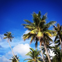 Оля Примачева