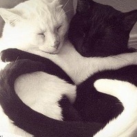 Ярослава Воробьева