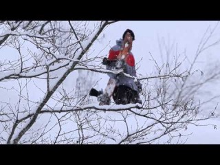 Monster Energy - Will Jackways Japan Powder Edit