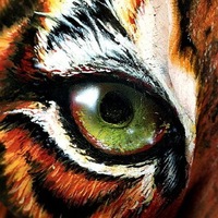 Ваня Жариков