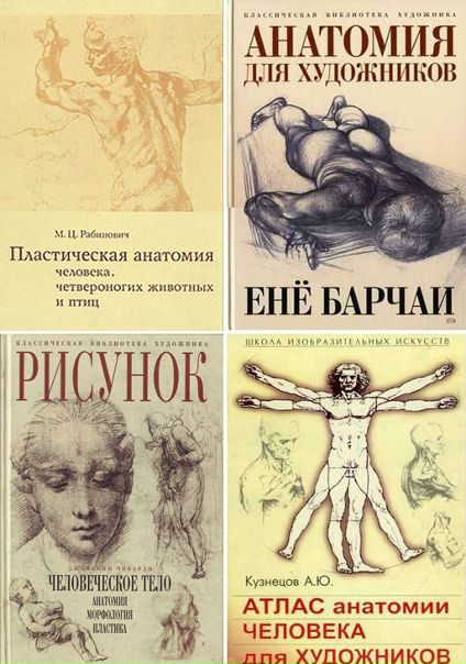 Скачать Книги По Анатомию