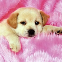 Светлана Талызина | 