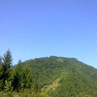 Сексон Сексич