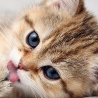 Алла Павлова | Москва