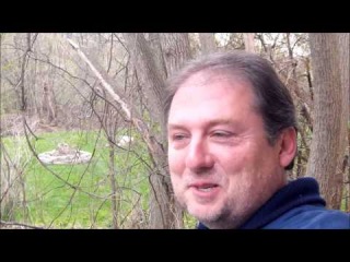 Best Field Guide Book Review - Favorite Plant, Tree and Mushroom Identification Books