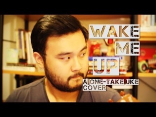 Wake Me Up - Avicii - Aloe Blacc - Ukulele Cover