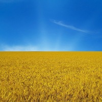 Дмитро Філіппенко