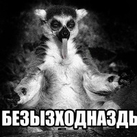 Николай Соколов