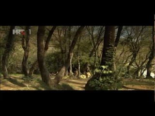 Hrvatski kraljevi ep. 4/7