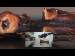 Atacama Humanoid
