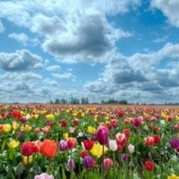 Оксана Демидова