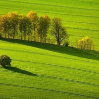 Kate-Tonkaya Shtuchka