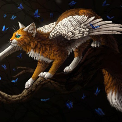 Бот С Ключом Война Племен