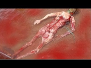 CRAZIEST Animals Attack Caught On Camera: Giant Anaconda Attack Human,lion,hyna,eagle,deer – Donna