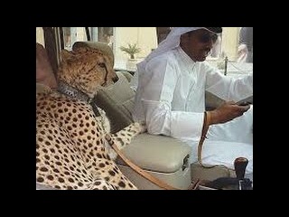 Как Живут Миллионеры в Дубаях
