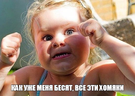 https://pp.userapi.com/c615825/v615825674/da43/A4AOq_G7rs0.jpg