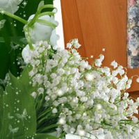 Надежда Лаврова