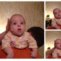 Андрей Орлов