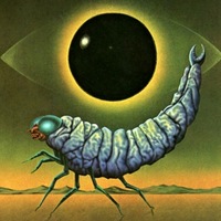 Антон Серёгин