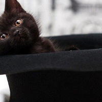 Федя Федотов