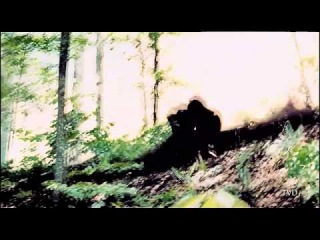 Does this darkness have a name | multifandom