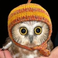 Евгения Погасий