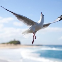 Лариса Ильина | Санкт-Петербург