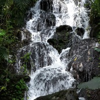 Снежана Ракуль