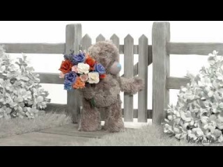 NoPostie from Carte Blanche Greetings (Tatty Teddy Montage)