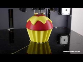 a Cup Cake Dual Color 3D Printing - Mankati 3D Printer Fullscale XT | Dual Extruder 3D Printer