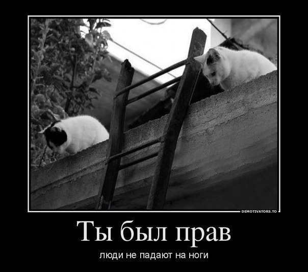 Кафе  "У пани Сони"