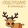 User photo
