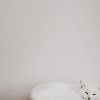 Мария Корзун(микрюкова)