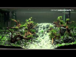 Aquascaping - Qualifyings for The Art of the Planted Aquarium 2015, region North, XL tanks, part 2