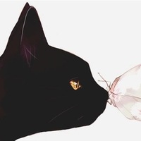 Виталия Навроцкая  TaliYA