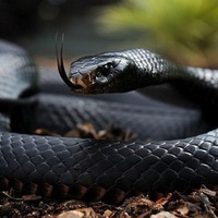 Петров Алексей | Москва