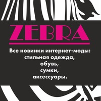 zebra_showroom