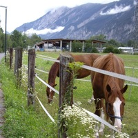 Ирина Цидаева